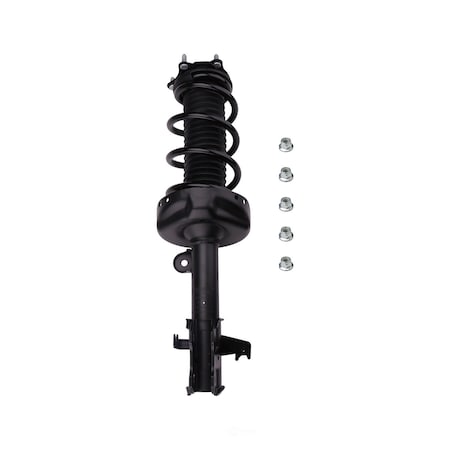 Suspension Strut And Coil Spring Assembly, Prt 815981